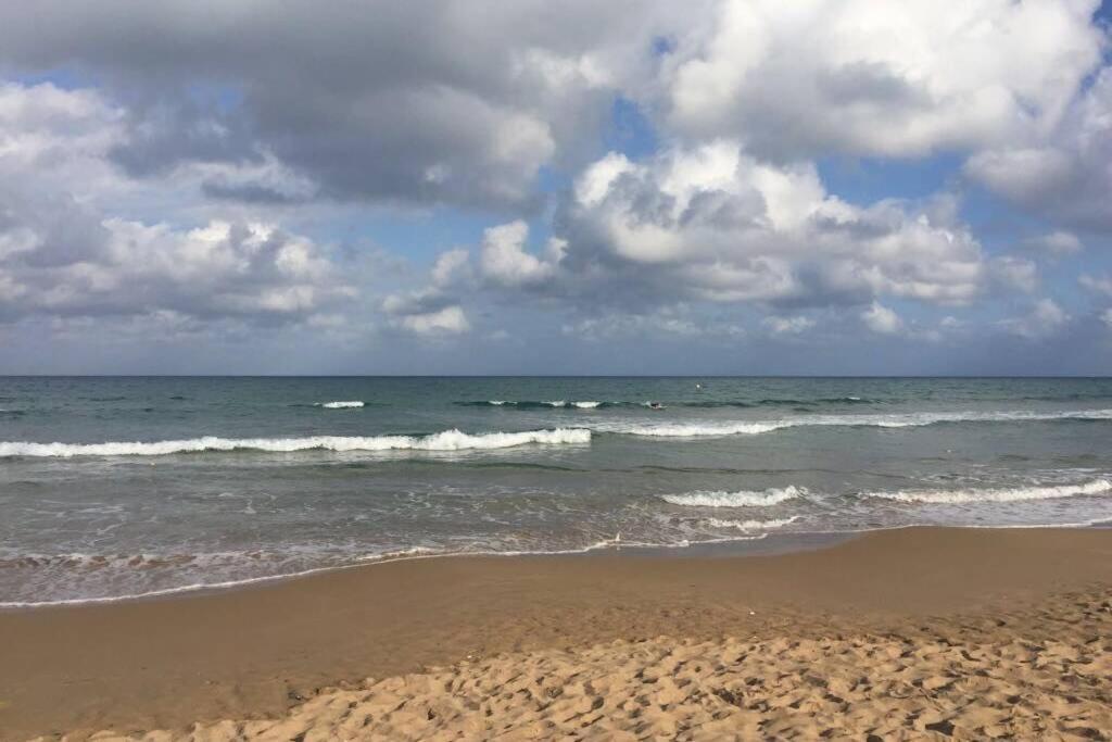 Beach Dream Apartment La Mata  Buitenkant foto