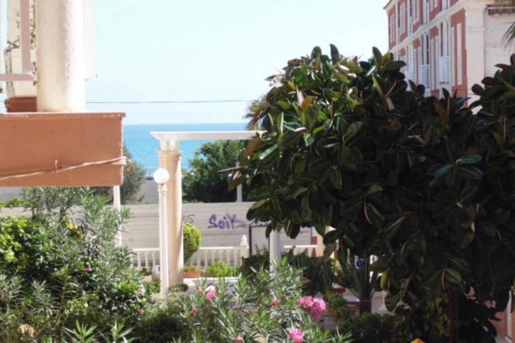 Beach Dream Apartment La Mata  Buitenkant foto